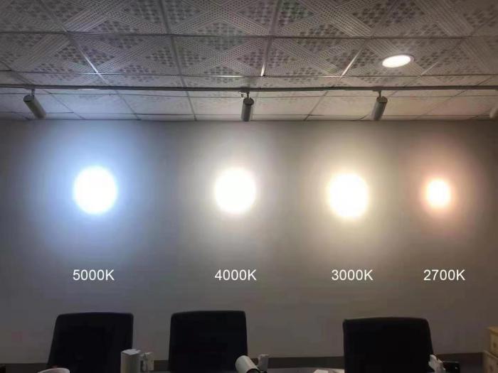 Zoomable LED Track Light PS-TL30-X16A92Z detail