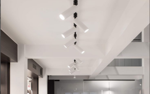 Commercial Indoor Track Lighting