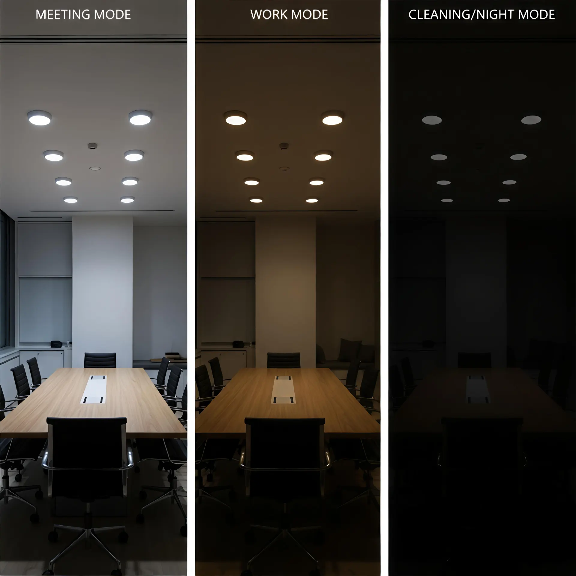Lighting scenes created by DALI controlled LED downlights in a commercial office environment