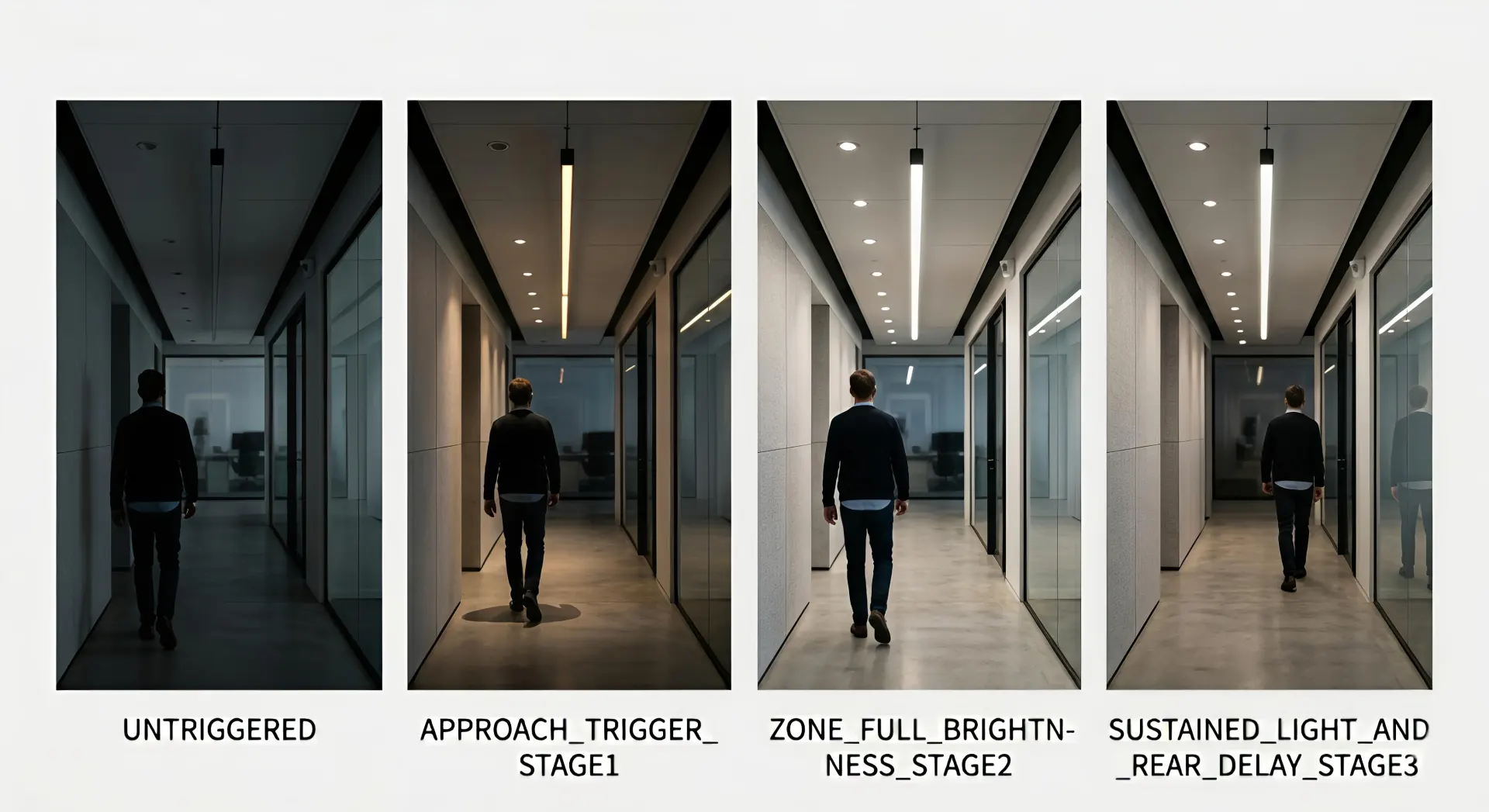 occupancy sensor lighting system activating downlights and linear lights when people enter