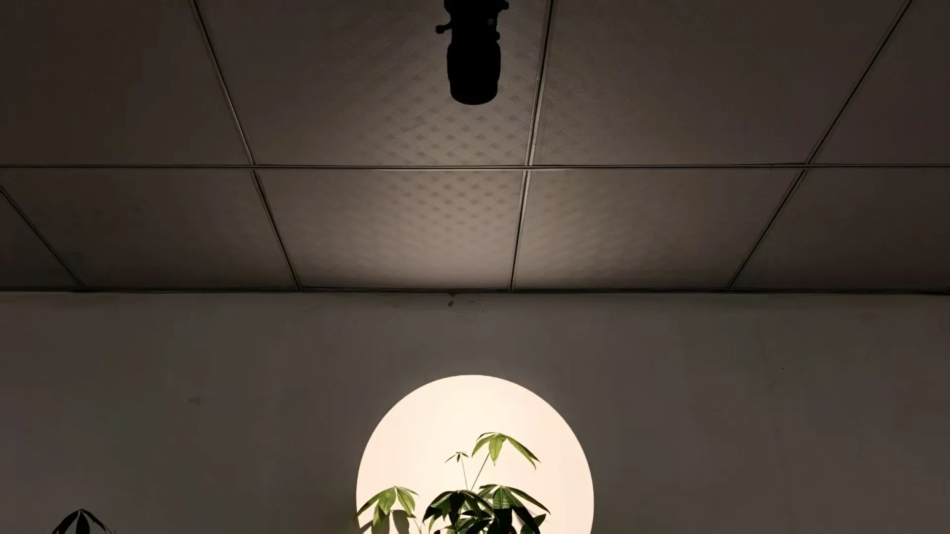 Track mounted framing projector creating precise beam shaping for museum artwork lighting
