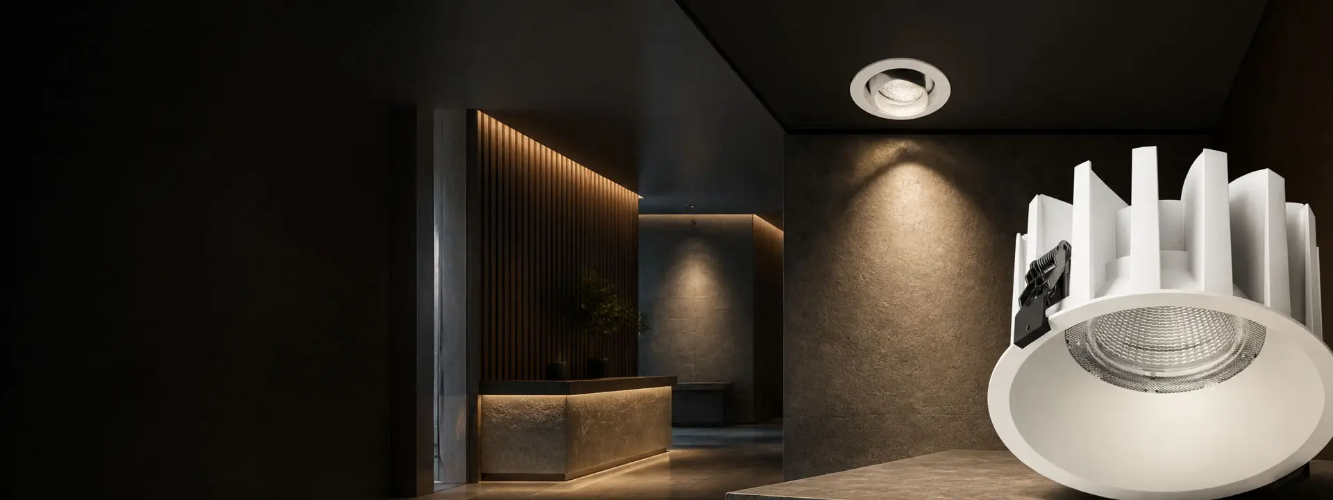 LED Downlight